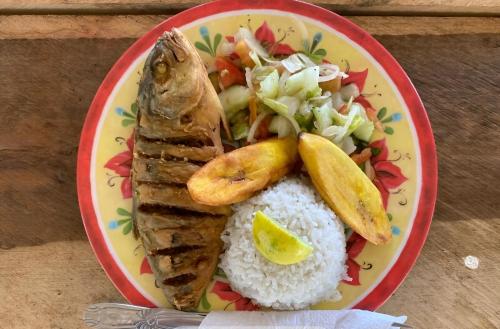 巴拿马城Diegun Tours的一大盘食物,有鱼、米和蔬菜