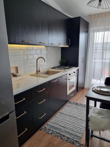 IpoteştiLa Cetate Luxury Apartment的厨房配有黑色橱柜和水槽
