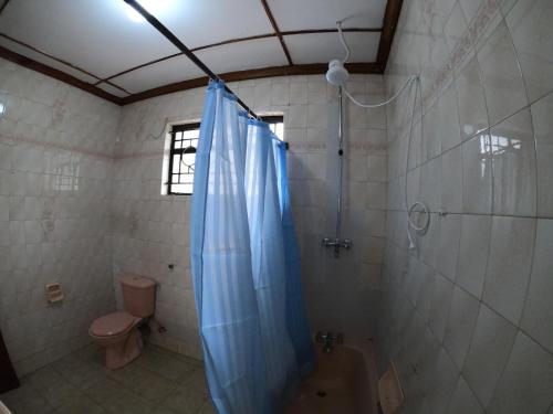 内罗毕Nairobi Backpackers Hostel的一间带蓝色淋浴帘的淋浴的浴室