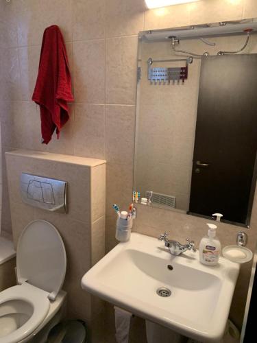 拉兹洛格Private Apartment Pirin Golf Club with Lake View的一间带水槽、卫生间和镜子的浴室
