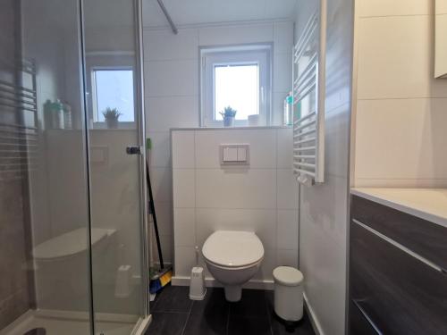 霍尔斯泰因地区诺伊斯塔特Lotse 03的一间带卫生间和玻璃淋浴间的浴室