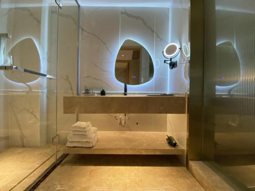 蚌埠格丽蚌埠万达广场南翔城市广场酒店的浴室配有盥洗盆和带镜子的淋浴