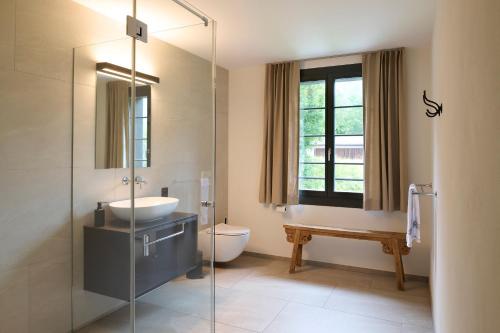 格林德尔瓦尔德Eiger View Alpine Lodge的一间带水槽和玻璃淋浴的浴室