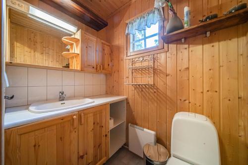 列维Immelkolo的浴室设有木墙、水槽和卫生间。