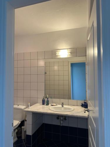 加夫里翁Villa Il Paradiso Andros的一间带水槽、卫生间和镜子的浴室