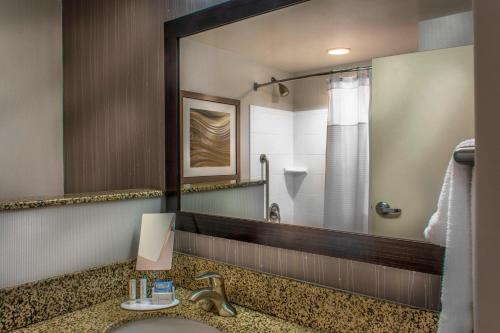 格林斯伯勒格林斯博罗机场万怡酒店的一间带水槽和镜子的浴室