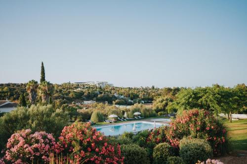 阿尔沃尔Pelican Alvor的花园内种满鲜花的游泳池景色