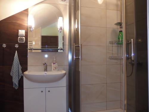 米兹多洛杰Apartament CURIE - studio的一间带水槽和淋浴的浴室