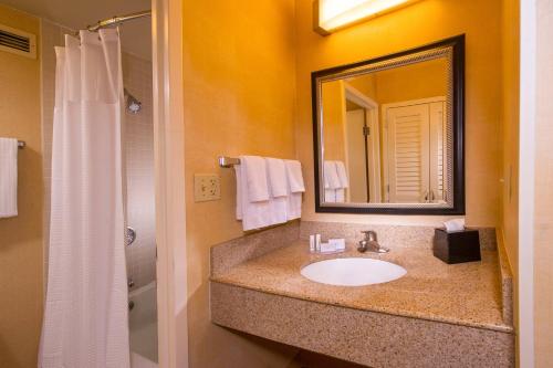 马纳萨斯万怡马纳萨斯战地公园酒店的一间带水槽、镜子和淋浴的浴室