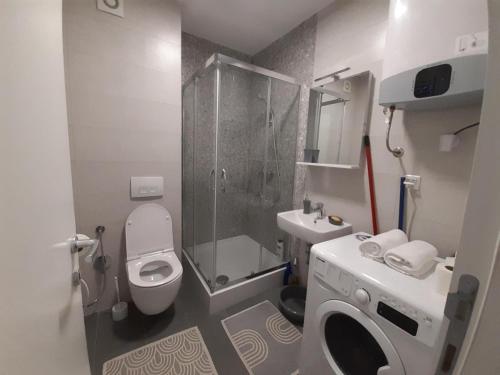 别拉什尼察Apartment Bjelasnica DAH的带淋浴、卫生间和盥洗盆的浴室
