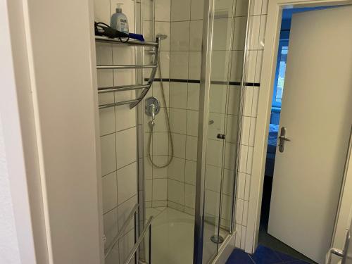 科瑟罗Seeblick Wohnung 115的浴室内带卫生间的淋浴间