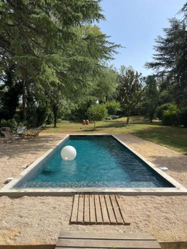 BouillarguesBoisBolchet Ecolodge-SPA的水中带飞盘的游泳池