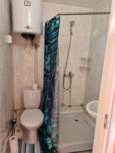 沃鲁Apartment Võru vanalinnas的一间带卫生间和淋浴帘的浴室