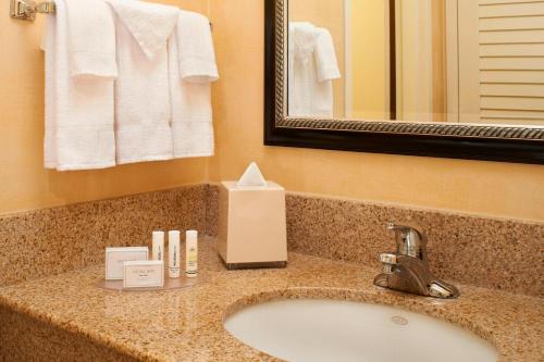 阿灵顿海茨芝加哥南阿灵顿海兹万怡酒店的浴室的柜台设有水槽和镜子