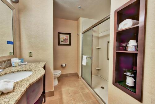 里奇克莱斯特里奇克雷斯特希尔顿恒庭旅馆&套房酒店的一间带水槽、淋浴和卫生间的浴室