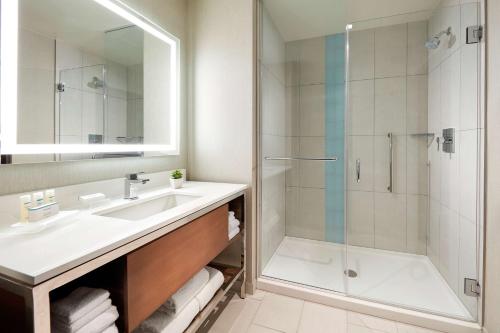 圣地亚哥圣地亚哥/海洋世界区希尔顿惠庭套房酒店的一间带水槽和淋浴的浴室