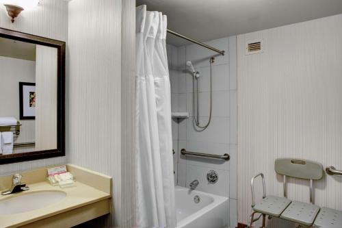 阿尔法利塔亚特兰大北/阿尔法利塔希尔顿花园酒店的带淋浴、盥洗盆和浴缸的浴室