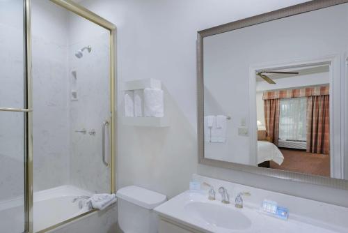麦卡伦麦卡伦机场希尔顿花园酒店的带淋浴、盥洗盆和镜子的浴室