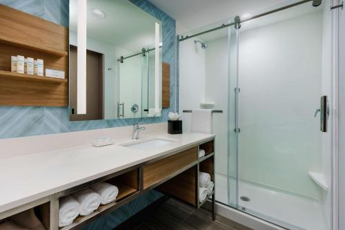 奥兰多Hilton Garden Inn Apopka City Center, Fl的一间带水槽和淋浴的浴室