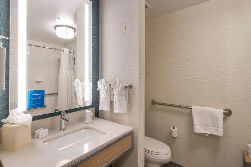 米德尔顿西麦迪逊/米德尔顿希尔顿花园酒店的一间带水槽、卫生间和镜子的浴室