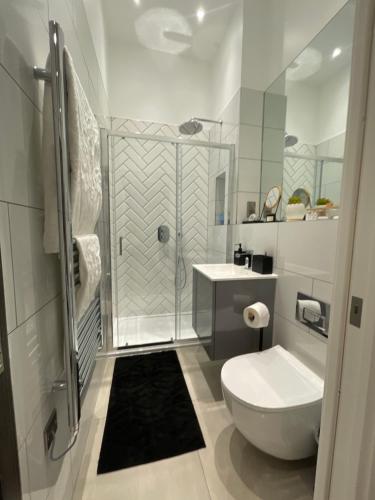 萨顿Luxury 2 bedroom Flat Sutton的带淋浴、卫生间和盥洗盆的浴室