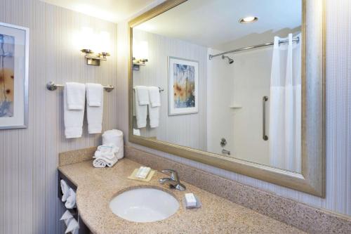 华盛顿堡费城华盛顿堡希尔顿花园旅馆的一间带水槽和大镜子的浴室