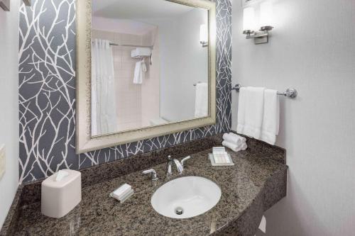 诺维诺维/底特律希尔顿花园酒店的一间带水槽和镜子的浴室
