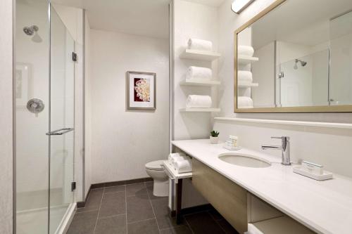 长滩加州长滩机场汉普顿酒店的一间带水槽、卫生间和镜子的浴室