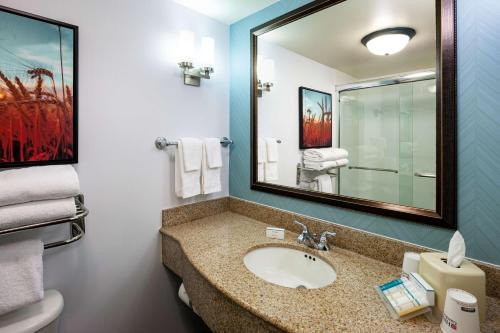 奥马哈奥马哈市区老集市区希尔顿花园旅馆的一间带水槽和镜子的浴室