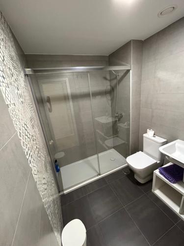 贝纳哈拉菲La estrella de Javi的带淋浴、卫生间和盥洗盆的浴室
