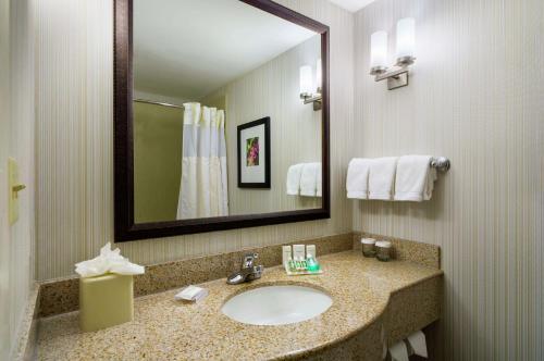 皇后区女王/JFK希尔顿花园旅馆的一间带水槽和镜子的浴室