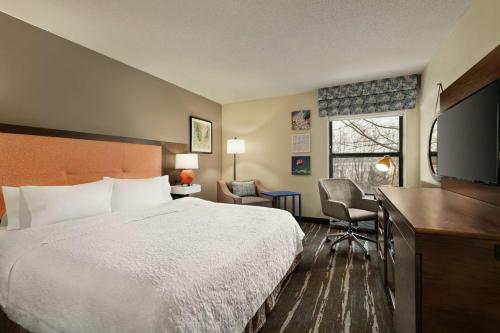 宾厄姆顿宾厄姆顿/约翰逊城希尔顿恒庭酒店的配有一张床和一台平面电视的酒店客房