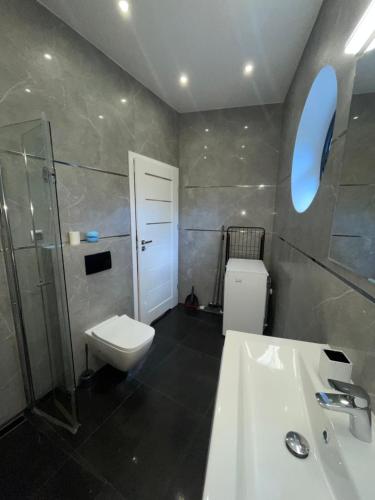 斯诺科Apartament Navy Blue z tarasem的浴室配有卫生间、盥洗盆和淋浴。