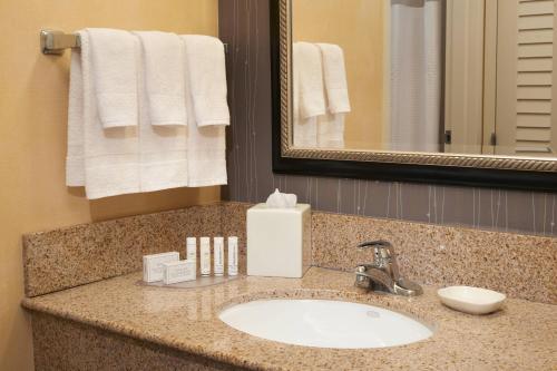 迪尔菲尔德芝加哥迪尔菲尔德万怡酒店的浴室配有盥洗盆、镜子和毛巾