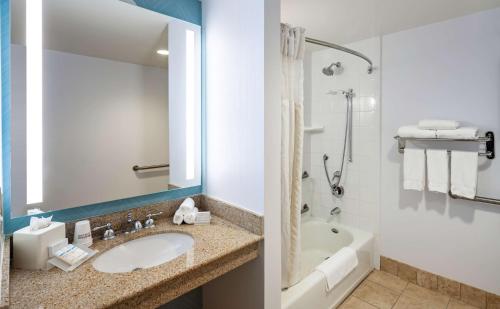 伯纳多牧场圣地亚哥/贝尔纳多牧场希尔顿花园酒店的一间带水槽、浴缸和卫生间的浴室