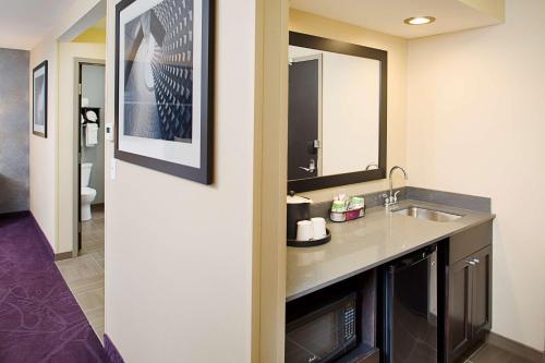 兰辛兰辛西部汉普顿套房酒店的一间带水槽和镜子的浴室