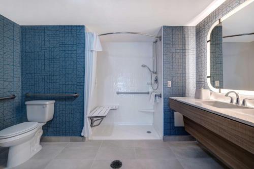 兰斯代尔兰斯代尔希尔顿惠庭套房酒店的浴室配有卫生间、淋浴和盥洗盆。