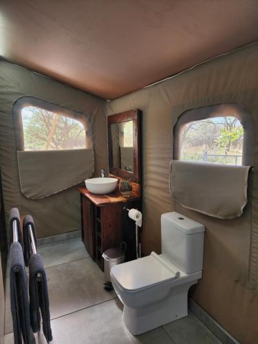 KlipdriftCrimson Bush Lodge的一间带卫生间和水槽的浴室