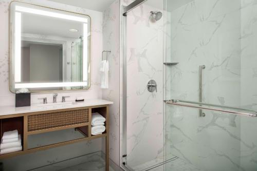 阿什本Embassy Suites by Hilton Dulles North Loudoun的带淋浴、盥洗盆和镜子的浴室