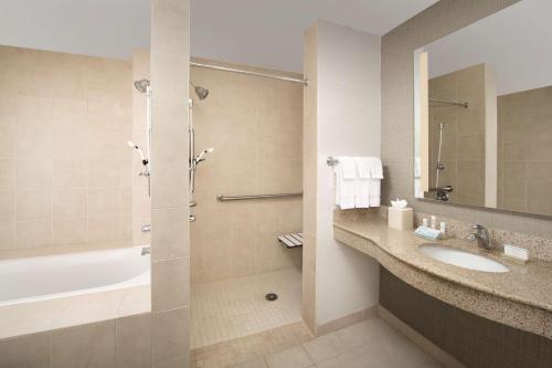 利西亚斯普林斯亚特兰大西/利西亚斯普林斯希尔顿花园酒店的带浴缸、水槽和淋浴的浴室