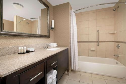胡佛Embassy Suites by Hilton Birmingham Hoover的一间带水槽、浴缸和镜子的浴室