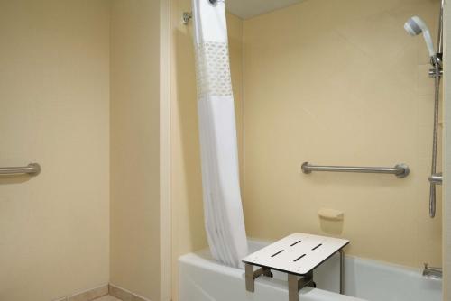 Lehighton利哈伊顿 - 吉姆索普汉普顿酒店的带淋浴的浴室以及带凳子的卫生间。