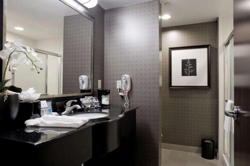 图珀洛图珀洛/巴恩斯隧道汉普顿酒店及套房的一间带水槽和镜子的浴室