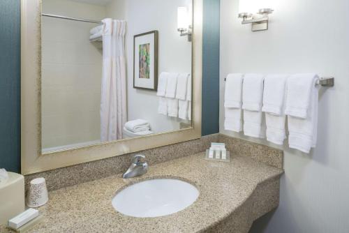 多森多森希尔顿花园旅馆的浴室配有盥洗盆、镜子和毛巾