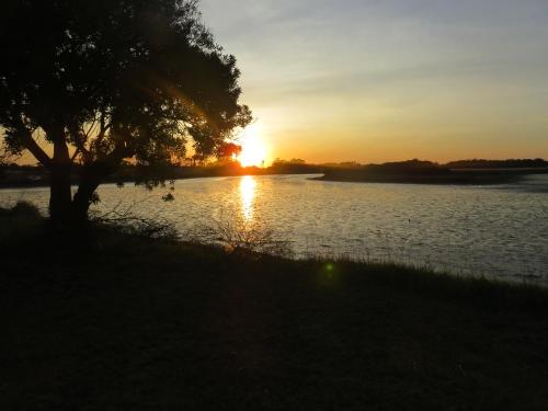 奇基塔湖巴尔内阿里奥COMPLEJO LA ISLA MAR CHIQUITA的树上一排日落