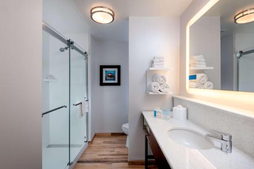 巴尔的摩Hampton Inn Baltimore Bayview Campus的一间带水槽和玻璃淋浴的浴室