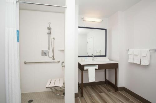 丹佛丹佛市中心汉普顿套房旅馆的一间带水槽和镜子的浴室