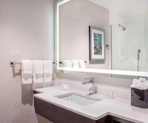 纽约纽约市金融中心/曼哈顿市区希尔顿花园酒店的白色的浴室设有水槽和镜子