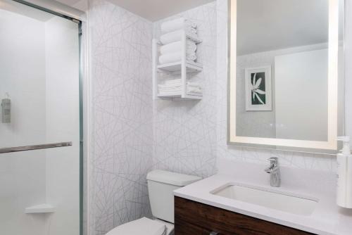 萨凡纳萨凡纳历史区汉普顿酒店的白色的浴室设有水槽和卫生间。