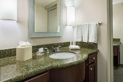 坦帕Homewood Suites by Hilton酒店坦帕机场 - 西岸的一间带水槽和镜子的浴室